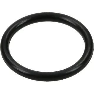 O-ring  793476 Briggs & Stratton
