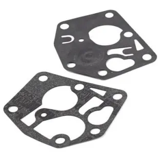Membrane  795478 Briggs & Stratton