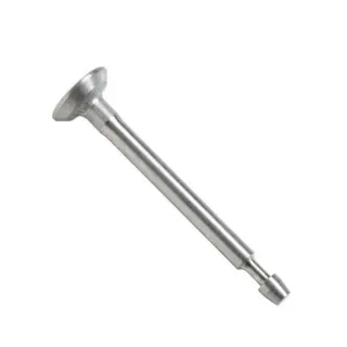 Intake valve  791935 Briggs & Stratton