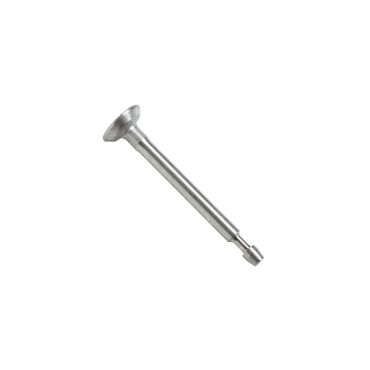 Intake valve  795443 Briggs & Stratton 499641