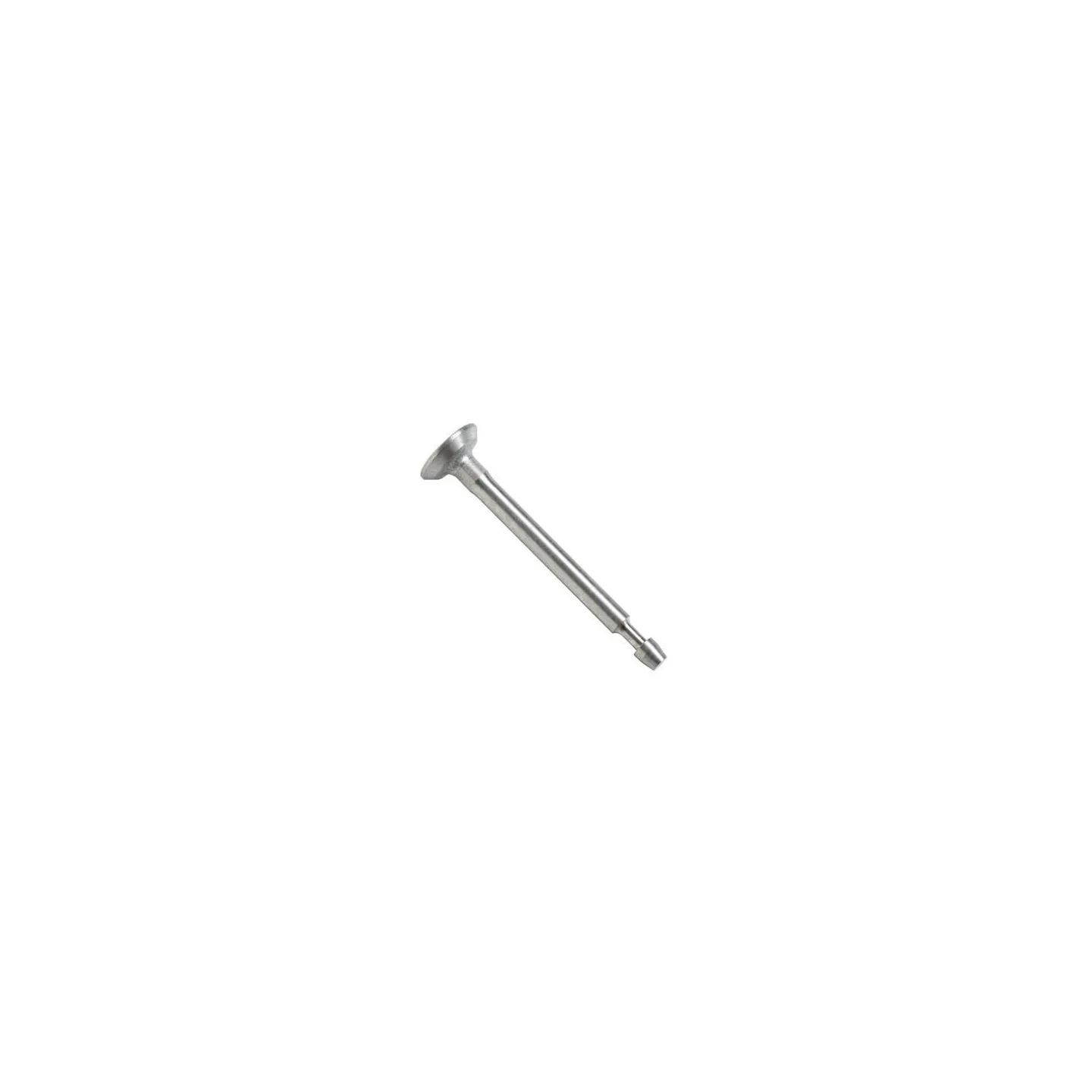 Intake valve  795443 Briggs & Stratton 499641