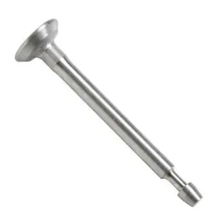 Intake valve  793504 Briggs & Stratton