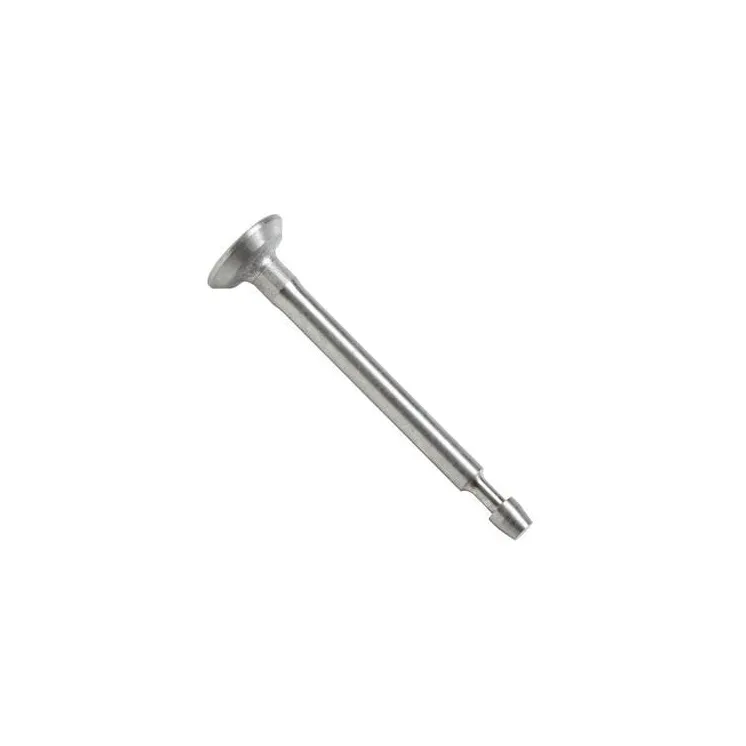 Intake valve  793504 Briggs & Stratton