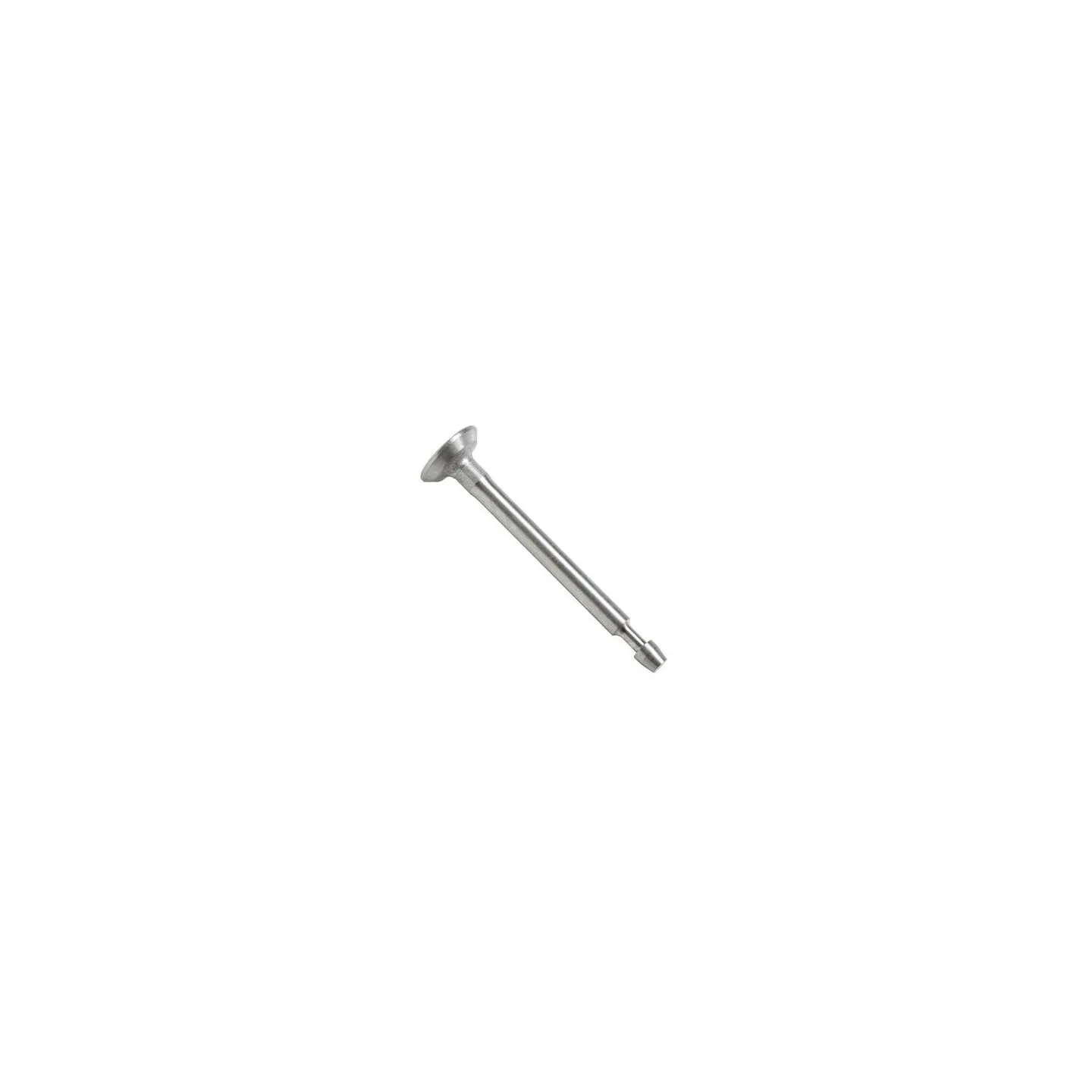 Intake valve  793504 Briggs & Stratton
