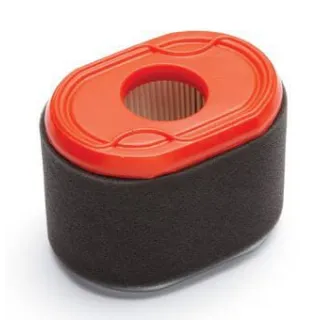 Gaisa filtrs 796970 Briggs & Stratton
