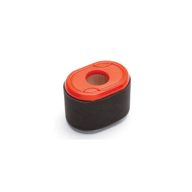 Gaisa filtrs 796970 Briggs & Stratton