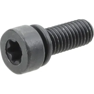 Screw  794844 Briggs & Stratton