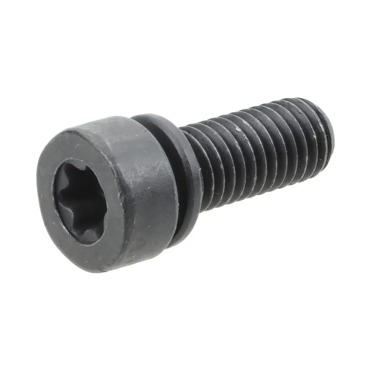 Screw  794844 Briggs & Stratton
