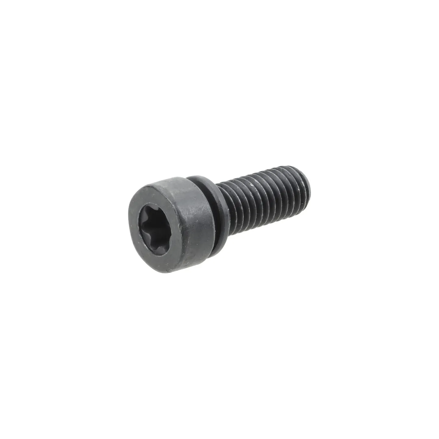 Screw  794844 Briggs & Stratton