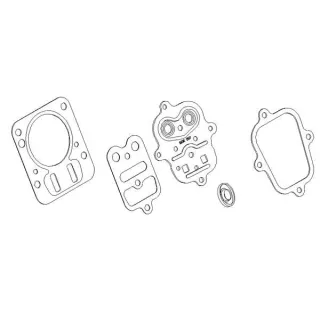 Cylinder head gasket  791798 Briggs & Stratton