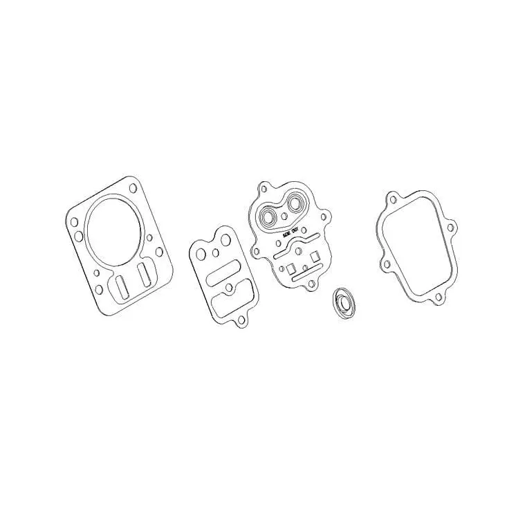 Cylinder head gasket  791798 Briggs & Stratton