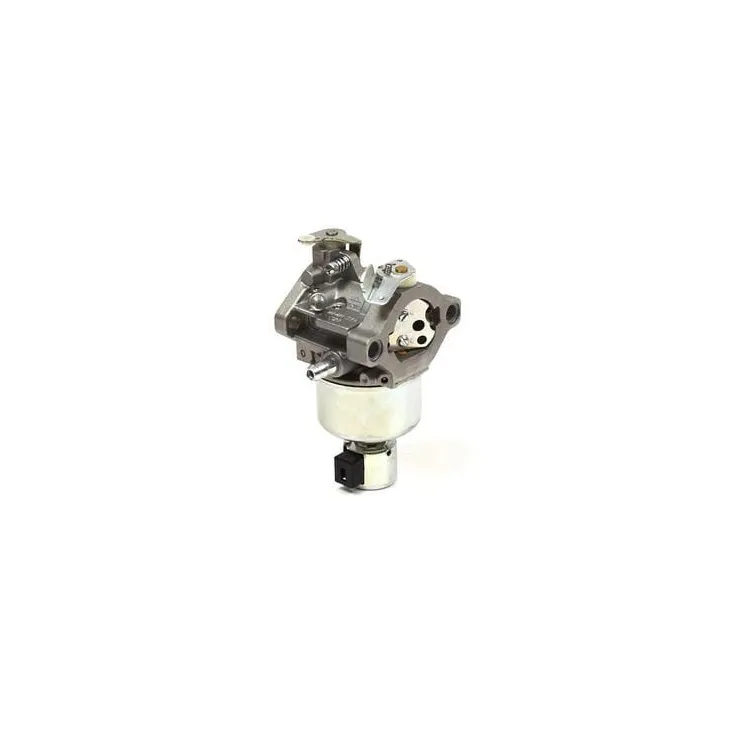 Karburators 791889 Briggs & Stratton 698782