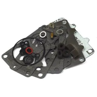 Carburettor repair kit  797890 Briggs & Stratton 499811 499812 792455
