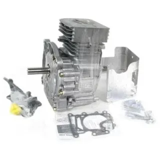 Short block, Vertical, 2-cylinder,  25.4mm L: 80mm B&S  797092A Briggs & Stratton 698173 698178