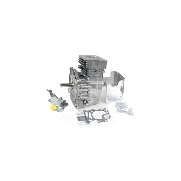 Short block, Vertical, 2-cylinder,  25.4mm L: 80mm B&S  797092A Briggs & Stratton 698173 698178