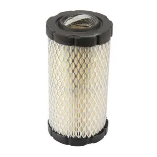 Air filter, round  793569 Briggs & Stratton