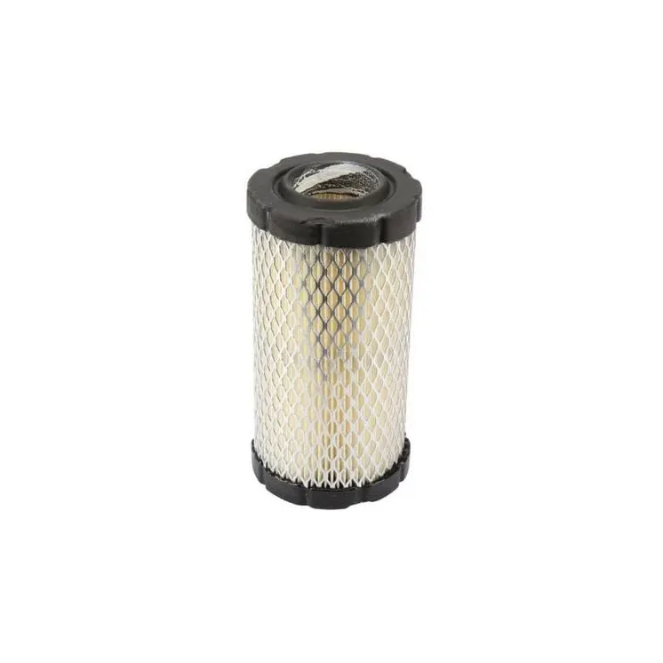 Air filter, round  793569 Briggs & Stratton
