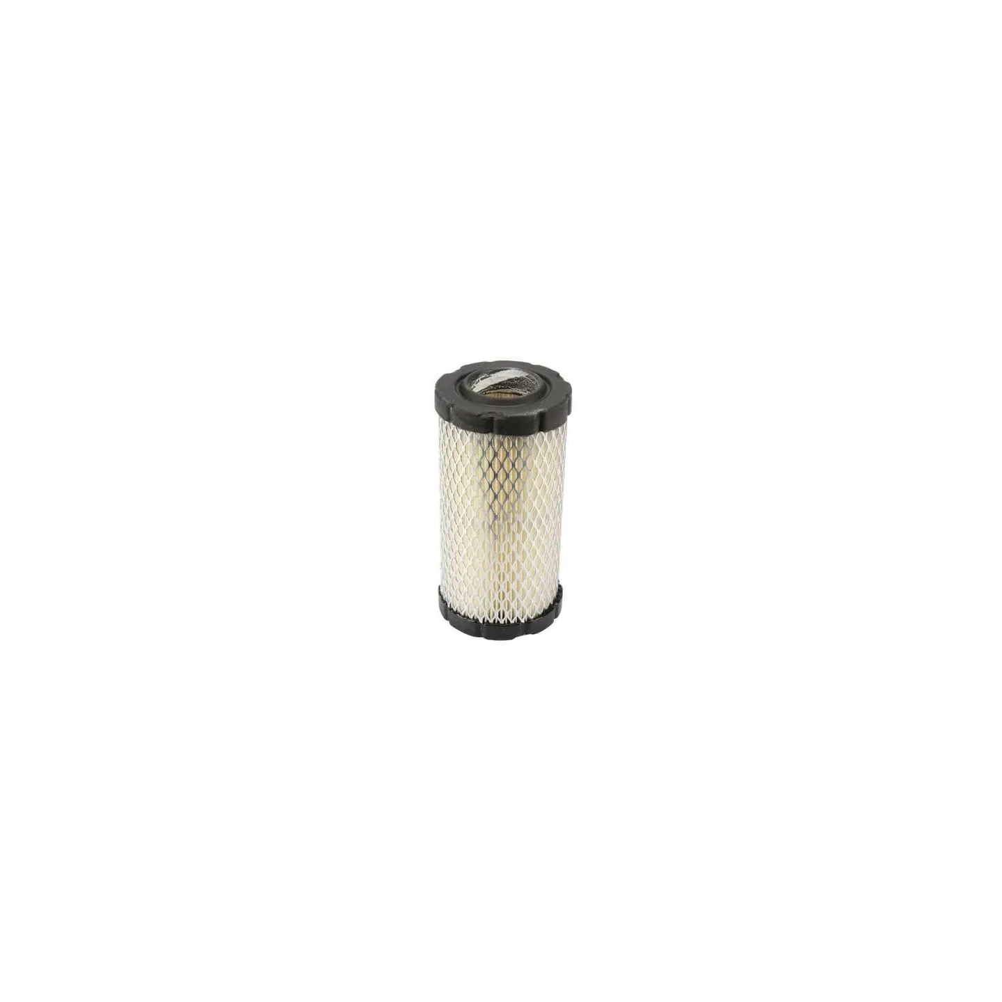 Air filter, round  793569 Briggs & Stratton