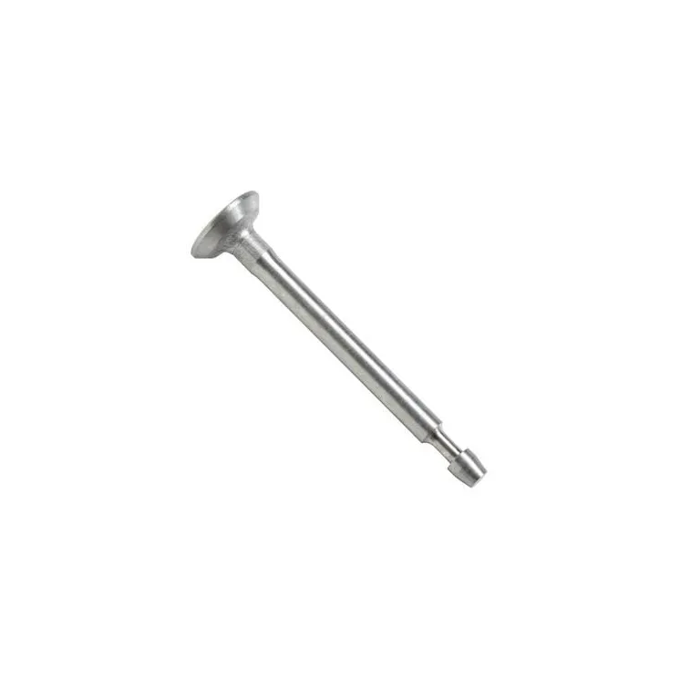 Intake valve  795199 Briggs & Stratton