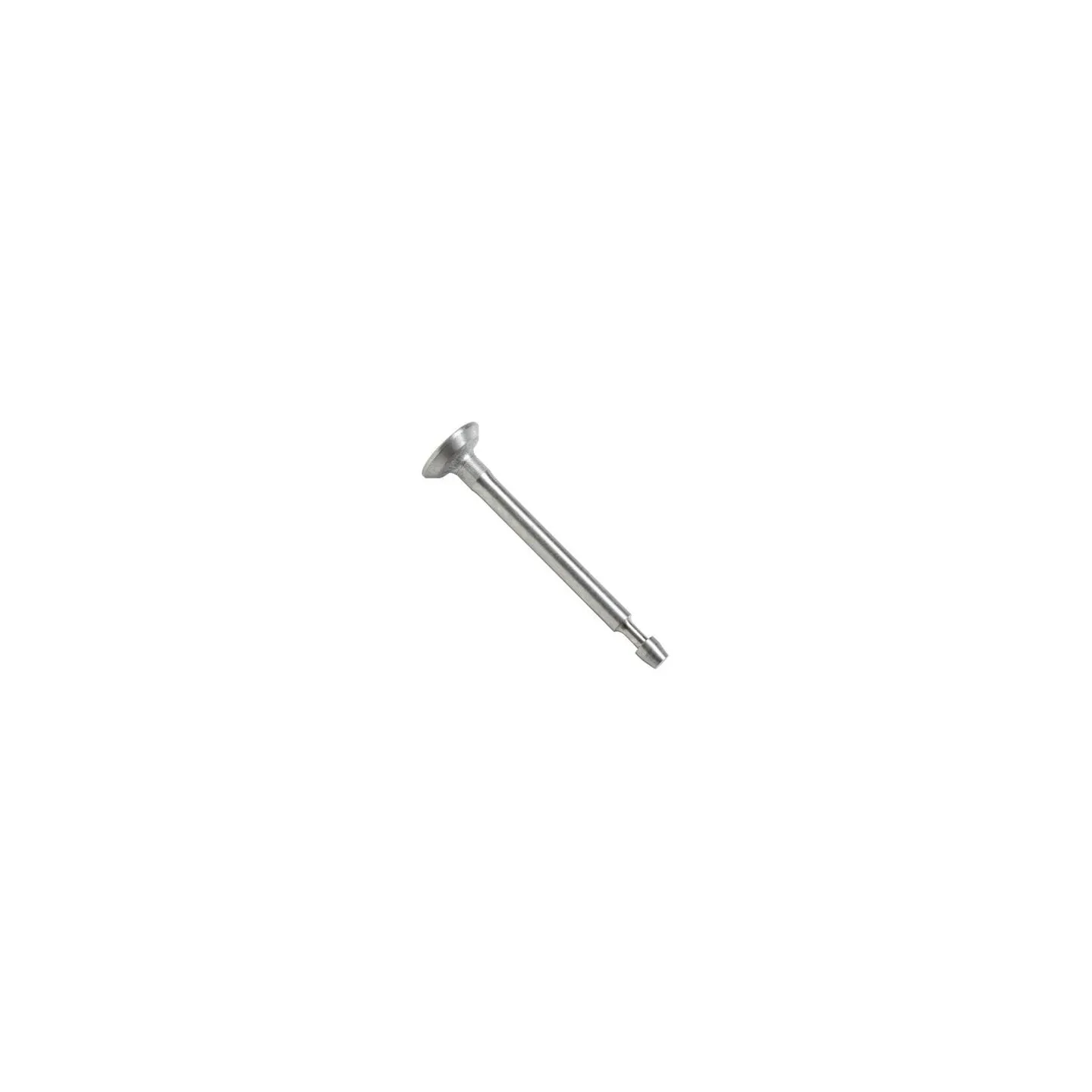 Intake valve  795199 Briggs & Stratton