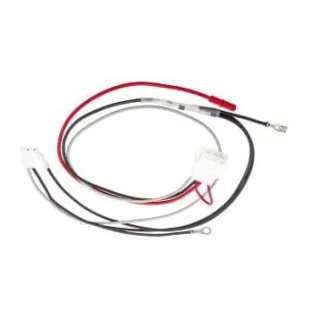 Wiring harness  796860 Briggs & Stratton