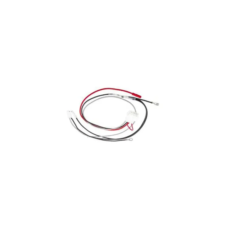 Wiring harness  796860 Briggs & Stratton