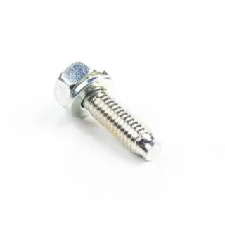 Screw  791972 Briggs & Stratton