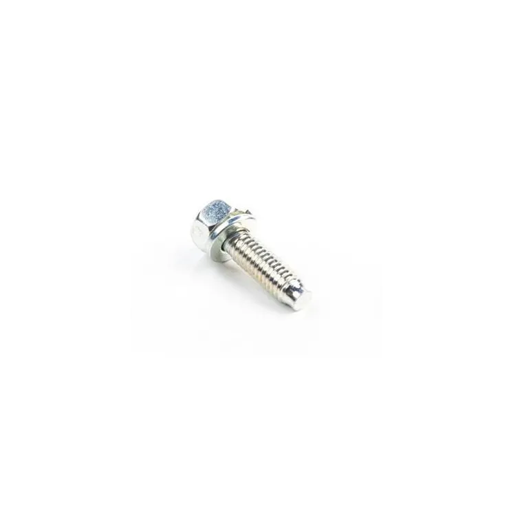 Screw  791972 Briggs & Stratton