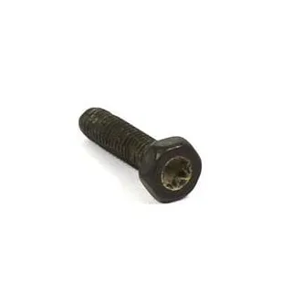 Screw  792629 Briggs & Stratton 695134