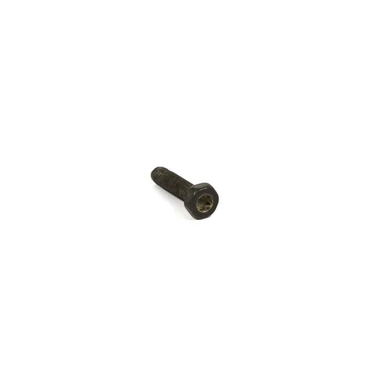 Skrūve 792629 Briggs & Stratton 695134