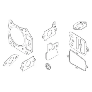 Gasket set  795441 Briggs & Stratton 694091 792386