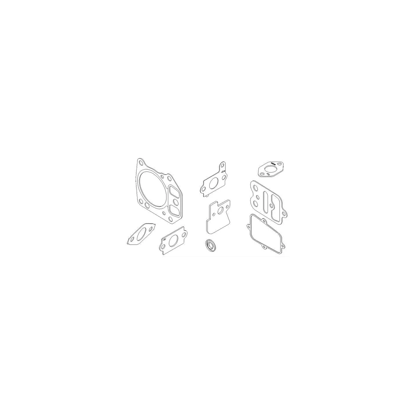 Gasket set  795441 Briggs & Stratton 694091 792386