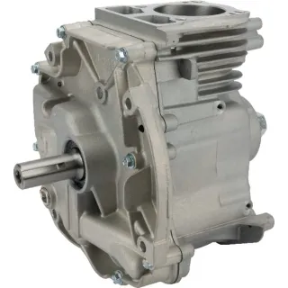 Short block model 1008 DOV  795157A Briggs & Stratton 795157