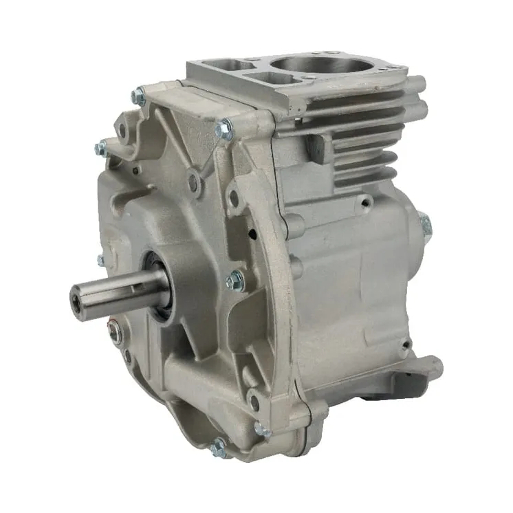 Short block model 1008 DOV  795157A Briggs & Stratton 795157
