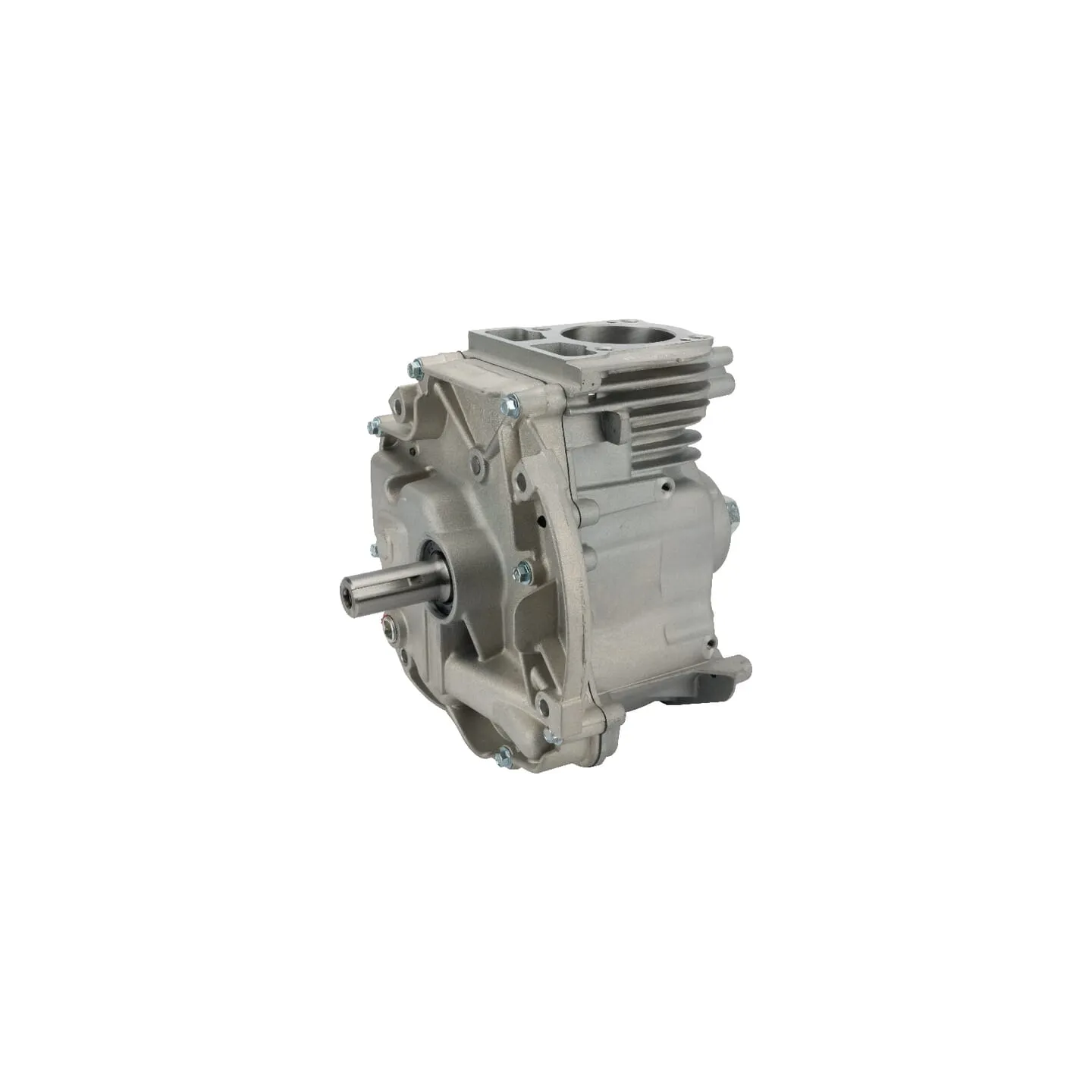 Short block model 1008 DOV  795157A Briggs & Stratton 795157