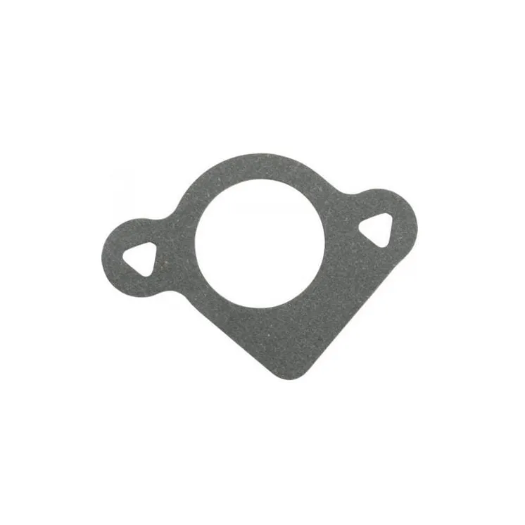 Ventilācijas atveres blīvējums 792389 Briggs & Stratton