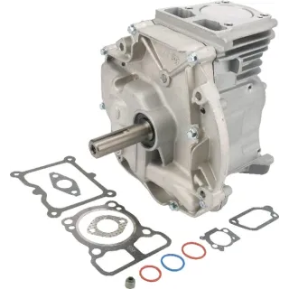 Short block Dov 80 X 22,2  795156A Briggs & Stratton 795156