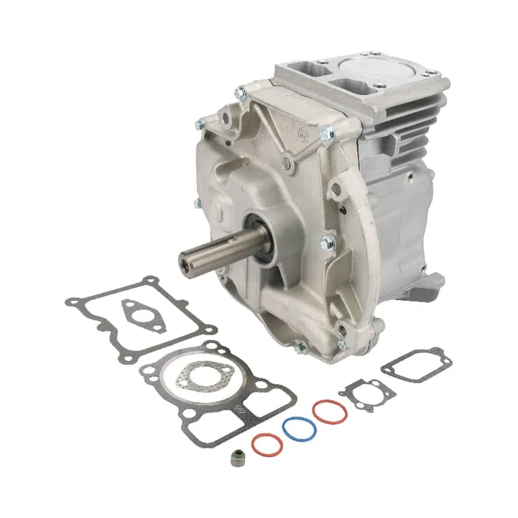 Short block Dov 80 X 22,2  795156A Briggs & Stratton 795156