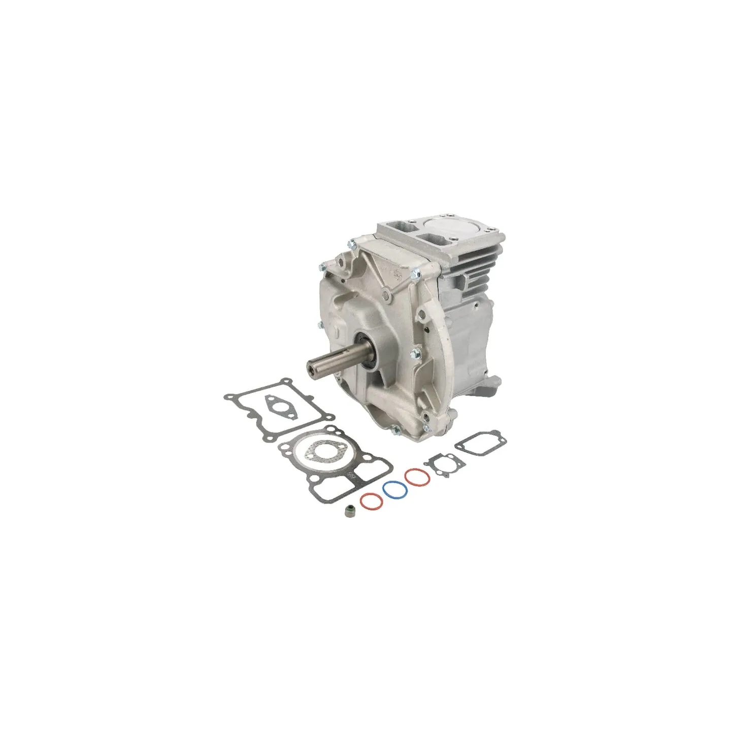 Īss bloks Dov 80 X 22,2 795156A Briggs & Stratton 795156