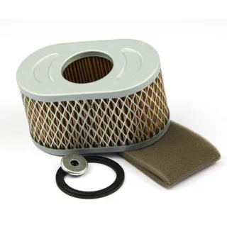 Gaisa filtrs 797033 Briggs & Stratton