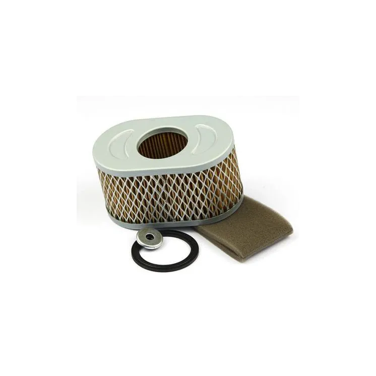 Gaisa filtrs 797033 Briggs & Stratton