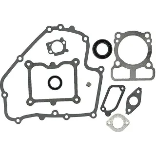 Gasket set  793623 Briggs & Stratton
