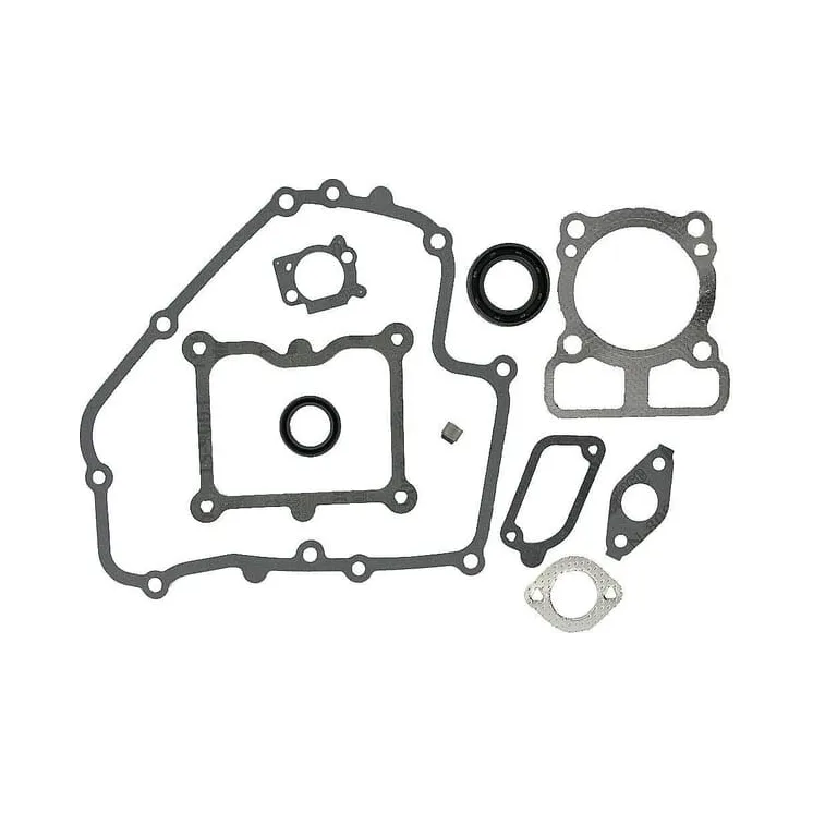 Blīvju komplekts 793623 Briggs & Stratton