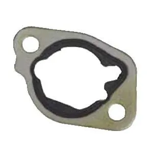 Blīve 797282 Briggs & Stratton