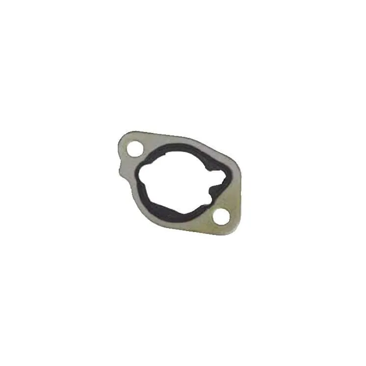 Blīve 797282 Briggs & Stratton
