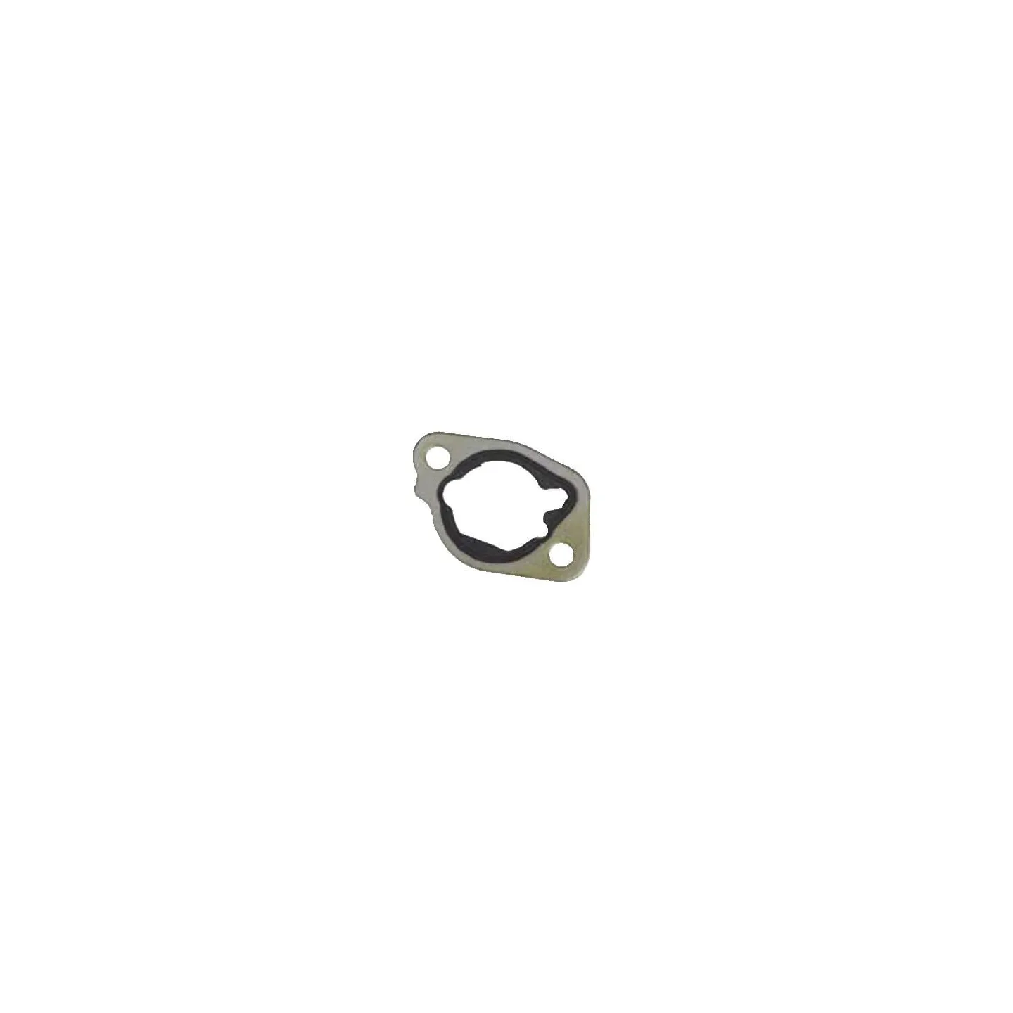 Blīve 797282 Briggs & Stratton