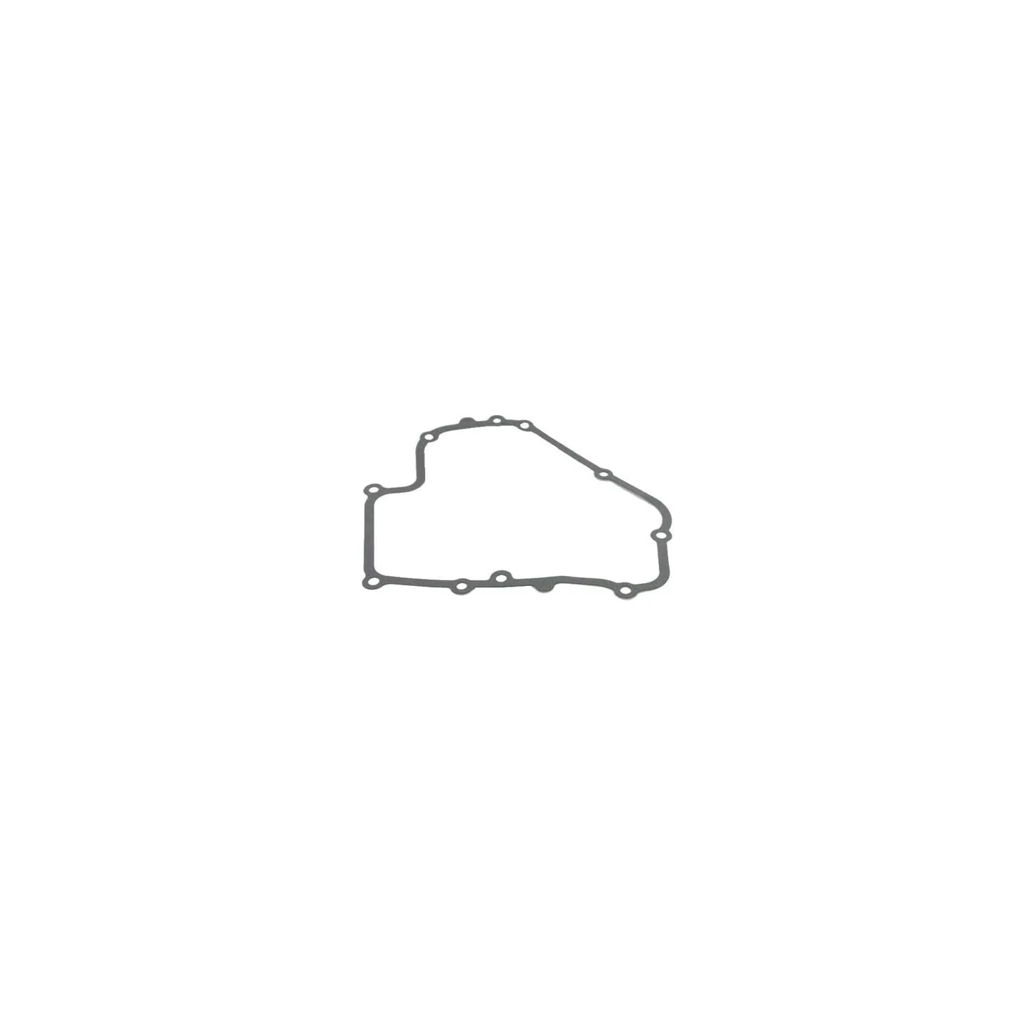 Crankcase gasket  793445 Briggs & Stratton