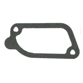 Gasket  793439 Briggs & Stratton