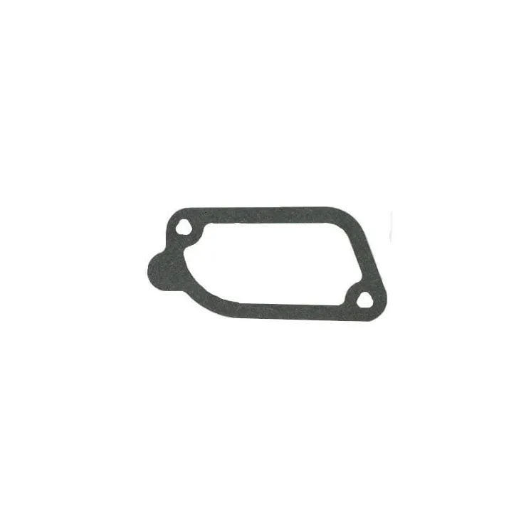 Gasket  793439 Briggs & Stratton