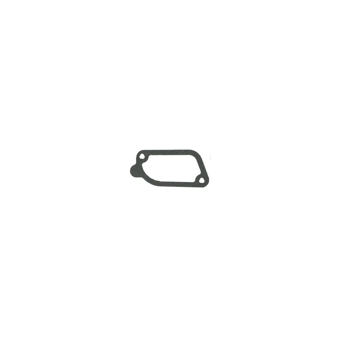 Gasket  793439 Briggs & Stratton